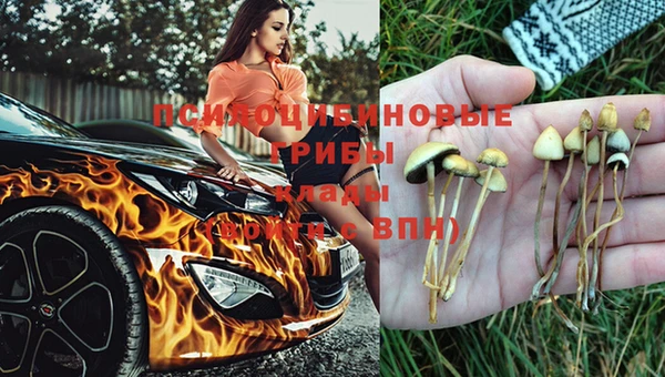 2c-b Белокуриха