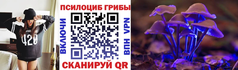 Галлюциногенные грибы ЛСД  где можно купить наркотик  Гатчина 