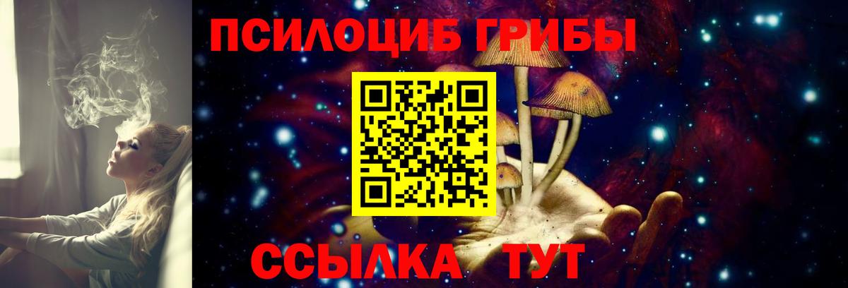 Гатчина  Галлюциногенные грибы мухоморы  Вход с VPN 