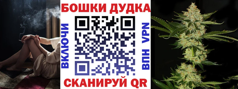 как найти   Гатчина  Конопля OG Kush 